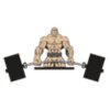AR WEIGHTS 27 RQC