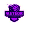 Meteor Basketball logo template
