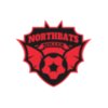 North bats Tournament Soccer logo template