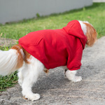 Dog Hoodies
